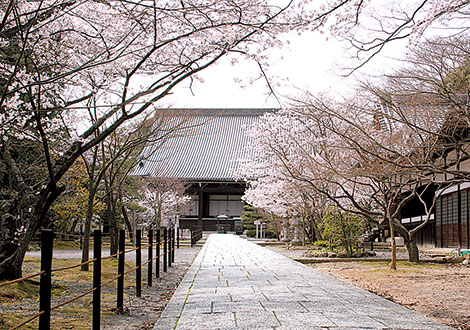 西山浄土宗総本山 光明寺